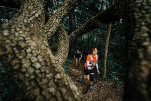 BIB: 
                            <button type="button" onclick="openModal(25699934)" class="btn btn-primary btn-sm float-right btn-popup" data-toggle="modal" data-target=".modal-high-quality">
                        <i class="fas fa-shopping-cart"></i> Add to Cart
                    </button>
                                            <button type="button" onclick="isThisMe(25699934, true)" class="btn btn-success btn-sm float-right btn-popup btn-isme hidden" data-toggle="tooltip" data-placement="bottom" title="นี่คือรูปของคุณใช่ไหม คลิกที่นี่เพื่อเอาเข้าอัลบั้ม">
                        <i class="fas fa-plus"></i> Add to album
                    </button>
                    <button type="button" onclick="isThisMe(25699934, false)" class="btn btn-warning btn-sm float-right btn-popup btn-isnotme hidden">
                        <i class="fas fa-ban"></i> Remove from album
                    </button>